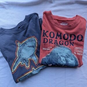 OshKosh B'gosh Kids Shark and Komodo Dragon Tees - Gray and Red